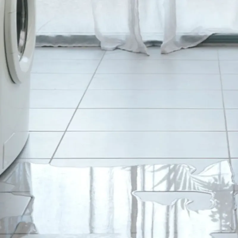 Appliance Leak Cleanup in Madison, NH