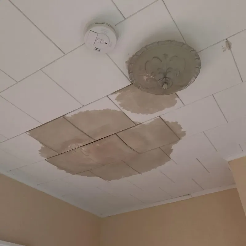 Ceiling Water Damage Repair in Madison, NH