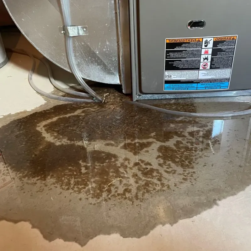 Pipe Burst and Leak Restoration in Madison, NH
